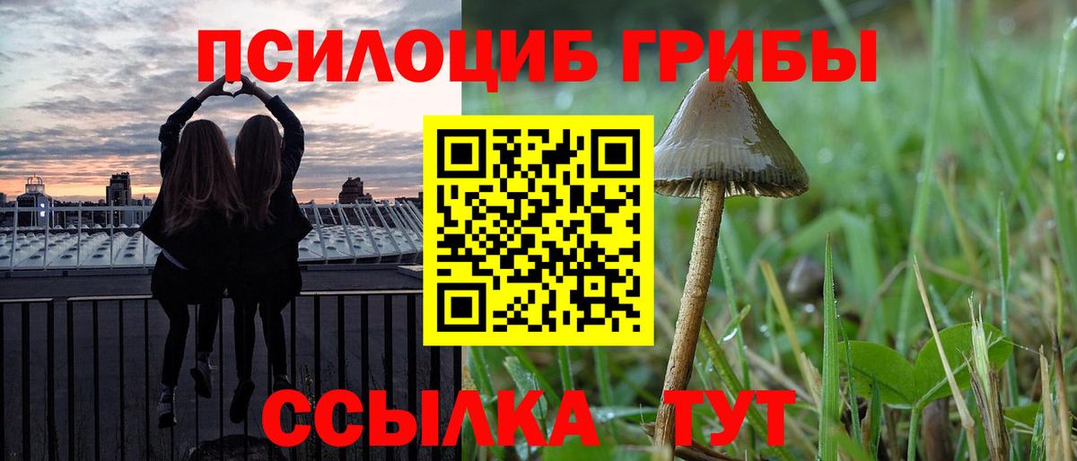 где можно купить   Вход с VPN  Светлоград  Псилоцибиновые грибы Magic Shrooms 