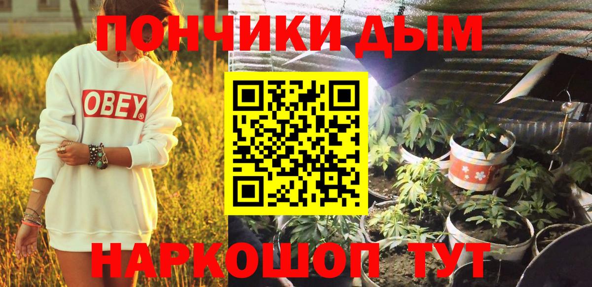 Светлоград  Марихуана план  Вход с VPN  Конопля индика 